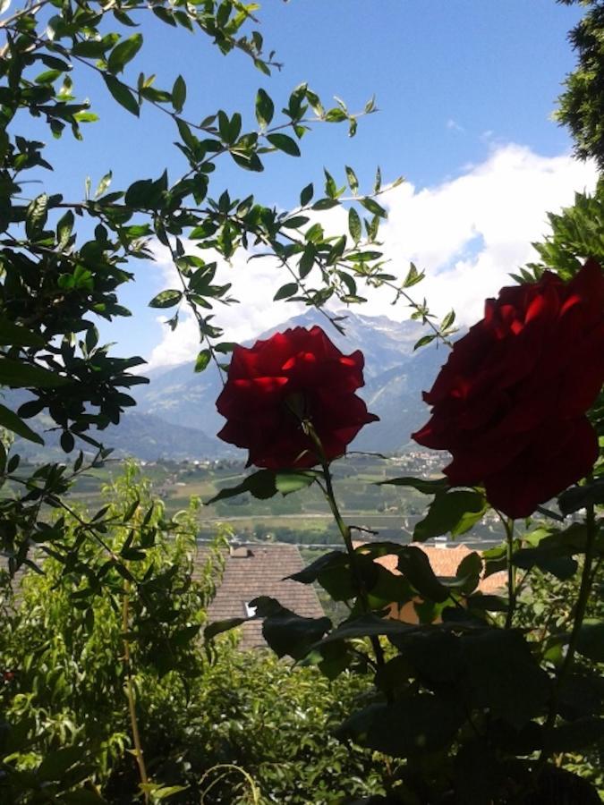 Apartmán Hahnenkamm Rainegg Schenna Exteriér fotografie