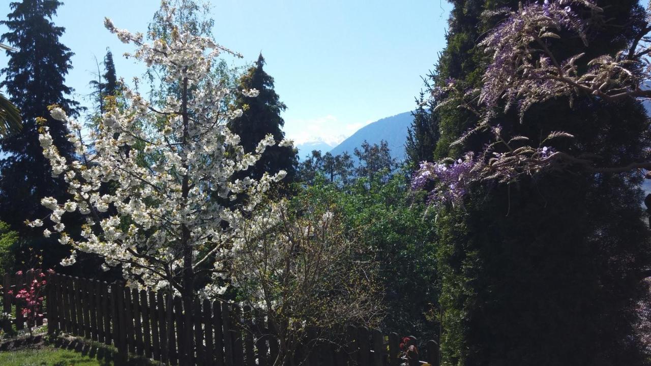 Apartmán Hahnenkamm Rainegg Schenna Exteriér fotografie